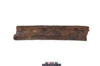 藏品(象牙中段)的圖片