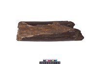 藏品(象牙中段)的圖片