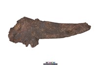 藏品(牛頭骨角)的圖片