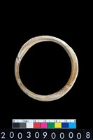 藏品(貝環)的圖片