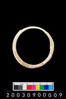 藏品(貝環)的圖片