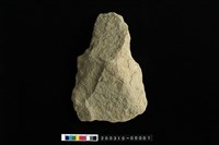 藏品(打製有肩石斧)的圖片