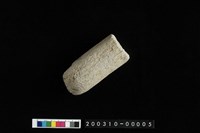 藏品(石杵)的圖片