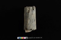 藏品(石杵)的圖片