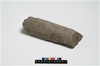 藏品(石杵)的圖片