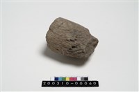 藏品(石杵)的圖片