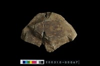 藏品(砥石)的圖片