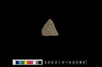 藏品(腹片)的圖片