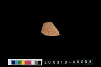 藏品(腹片)的圖片