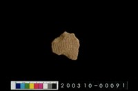 藏品(腹片)的圖片