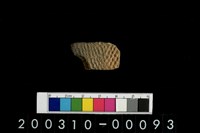 藏品(腹片)的圖片