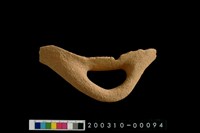 藏品(陶把)的圖片