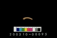 藏品(陶環)的圖片