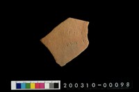 藏品(腹片)的圖片