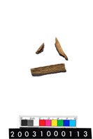 藏品(獸骨)的圖片