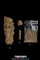 藏品(獸骨)的圖片