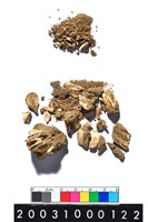 藏品(鹿齒?)的圖片