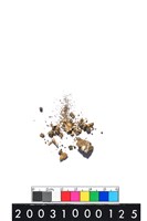 藏品(獸齒)的圖片