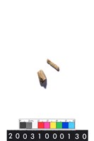 藏品(獸骨)的圖片