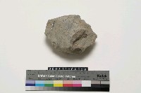 藏品(砍砸器)的圖片