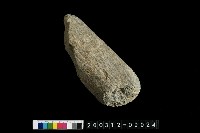 藏品(石杵)的圖片