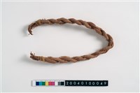 藏品(榕樹皮)的圖片