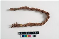 藏品(榕樹皮)的圖片