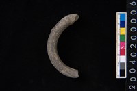 藏品(陶環)的圖片