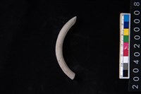 藏品(陶環)的圖片