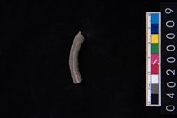 藏品(陶環)的圖片