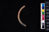 藏品(陶環)的圖片