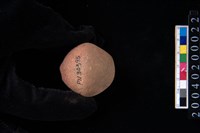 藏品(陶紡輪)的圖片