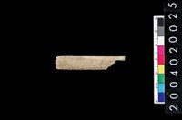 藏品(骨器)的圖片