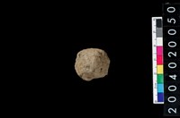 藏品(獸骨殘片)的圖片