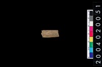 藏品(獸骨殘片)的圖片