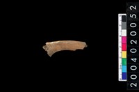 藏品(獸骨殘片)的圖片