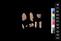 藏品(獸骨殘片)的圖片