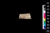 藏品(獸骨殘片)的圖片