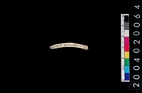 藏品(獸肢骨殘片)的圖片