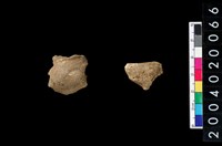 藏品(獸骨殘片)的圖片