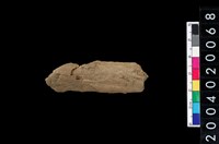 藏品(獸肢骨殘片)的圖片