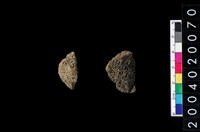 藏品(獸骨殘片)的圖片