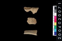 藏品(獸骨殘片)的圖片