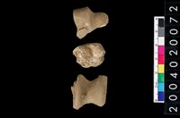 藏品(獸骨殘片)的圖片