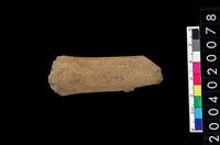 藏品(獸骨殘片)的圖片