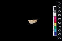 藏品(獸骨殘片)的圖片