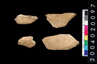 藏品(獸骨殘片)的圖片