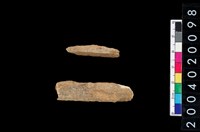 藏品(獸骨殘片)的圖片