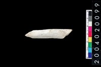 藏品(獸骨殘片)的圖片