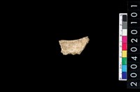 藏品(獸骨殘片)的圖片